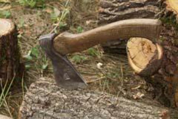 Wood War in Samachablo