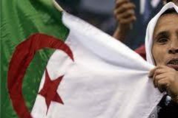 არჩევნები ალჟირში - ევროკავშირი კმაყოფილია