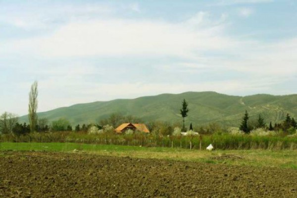 „ქართული ოცნება“ სასოფლო კოოპერაციებში უცხოელების მონაწილეობის აკრძალვას დისკრიმინაციად არ მიიჩნევს