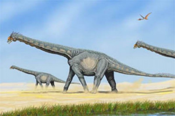 დინოზავრები მეტეორიტის ჩამოვარდნისას არ დაღუპულან