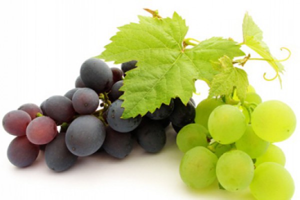 ყურძენი აქტიურად ებრძვის ორგანიზმის დაბერების პროცესს
