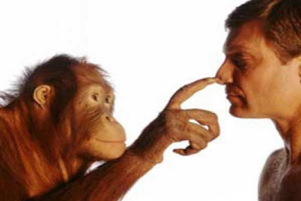 აღმოაჩინეს ადამიანისა და მაიმუნის საერთო წინაპარი