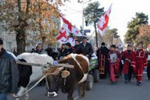 შინაგან საქმეთა სამინისტროს განცხადება