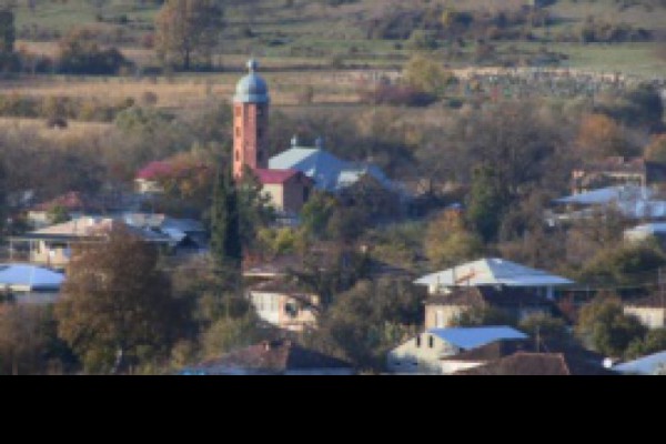 ვინ და როგორ წაიყვანა პანკისელი მოსწავლეები ომში