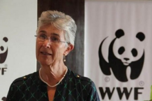 WWF-ის პრეზიდენტი იოლანდა კაკაბაძე: გახშირებული ხანძრები კლიმატის ცვლილებას უკავშირდება