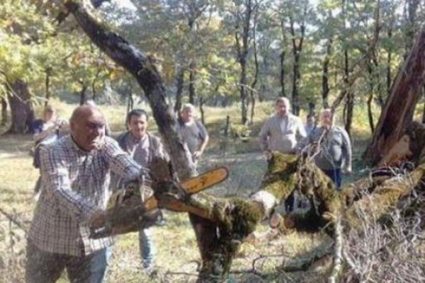 „ჩემი დაჯარიმება თუ გადაარჩენს ქართულ ბუნებას, ჯანდაბას, გადავიხდი“, - გოგი წულაია