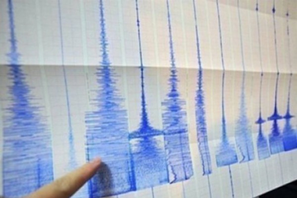 ჯავის რაიონში 4,2 მაგნიტუდის სიმძლავრის მიწისძვრა მოხდა