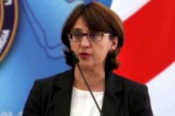 მაია ფანჯიკიძე და რიჩარდ ნორლანდი პუტინისა და ანქვაბის შეხვედრას გამოეხმაურნენ