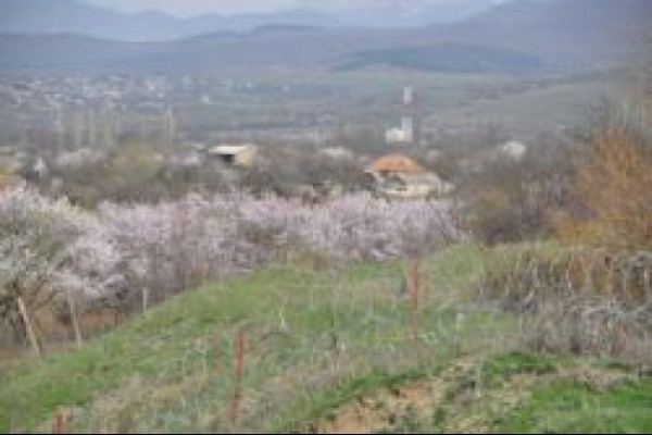 ჯარიაშენში გორის გამგებელი და შიდა ქართლის გუნერნატორის მოადგილე ჩავიდნენ