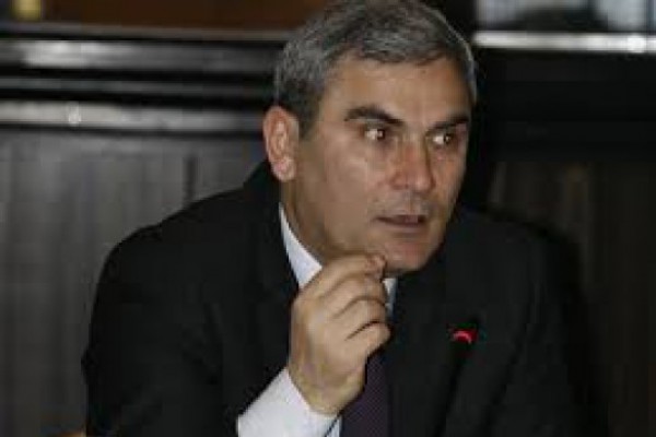 უცხოელები საქართველოში შეძენილი მიწების გაყიდვას ცდილობენ