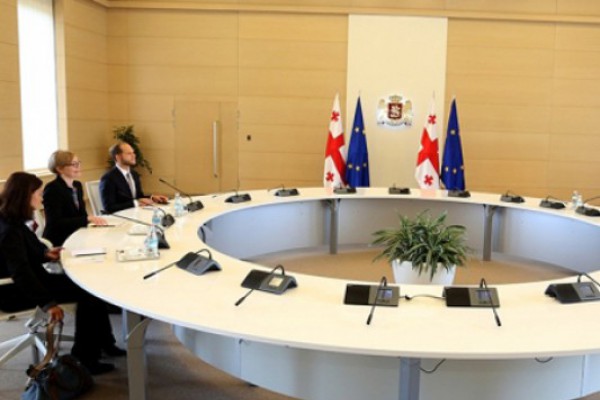 ირაკლი ღარიბაშვილი შვედეთის სამეფოს საგანგებო და სრულუფლებიან ელჩს შეხვდა
