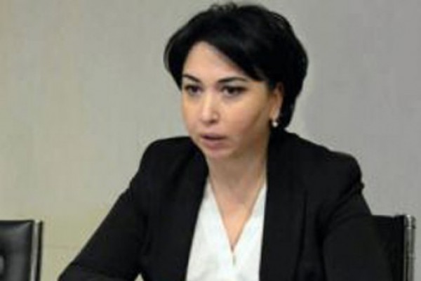 ეკა ბესელიამ და ვახტანგ ხმალაძემ კიდევ ერთი კანონპროექტი ვერ 