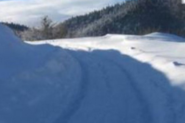 გუდაურში თოვლის საფარმა 170 სმ-ს მიაღწია