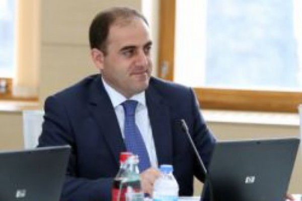 დავით ნარმანია საქართველოს მთავრობის წევრებს შესაძლოა, ჯოკია ბოდოკიას დაკავების ფაქტის შესახებ ესაუბროს