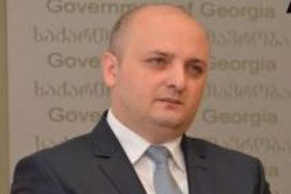 მინდია ჯანელიძე:  ფრანგულ მხარესთან კონსულტაციები წარმატებით გრძელდება