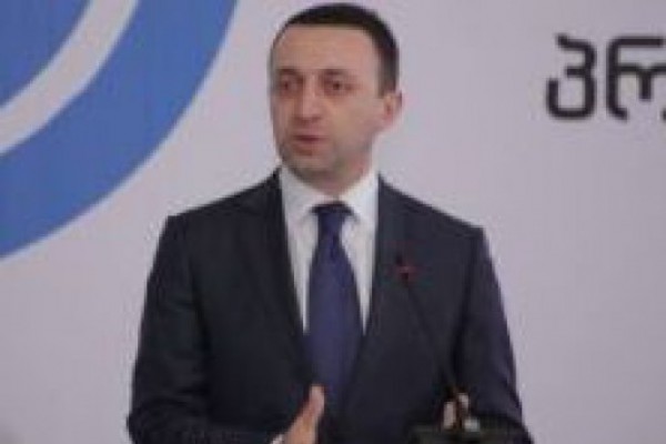საქართველოს მთავრობამ, ზურაბ ადეიშვილთან დაკავშირებით, რაც გასაკეთებელი იყო, ყველაფერი გააკეთა