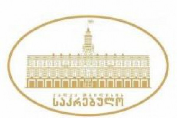 თბილისის საკრებულო დეპუტატთა მიერ იარაღის ტარების უფლების საკითხის განხილვას უარყოფს