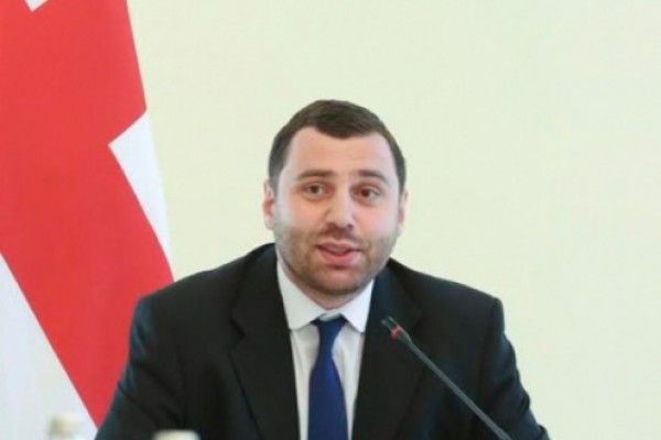„ამ ეტაპზე, სრულად ვართ მონდომებული, მოტივირებული შენიშვნები პარლამენტს წარვუდგინოთ“