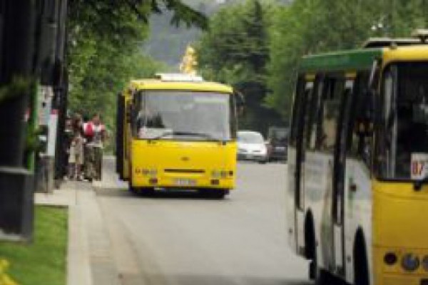 მგზავრებს მახათას მთაზე უფასო ავტობუსები მოემსახურება