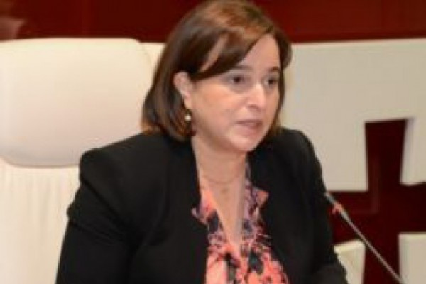 საკონსტიტუციო სასამართლო ცდილობს, მისი ქმედება არასწორ ფაქტებზე დაყრდნობით გაამართლოს