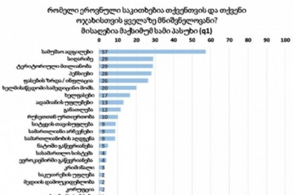 NDI-ს გამოკითხულთა 57% ქვეყანაში ყველაზე მნიშვნელოვან საკითხად დასაქმებას მიიჩნევს