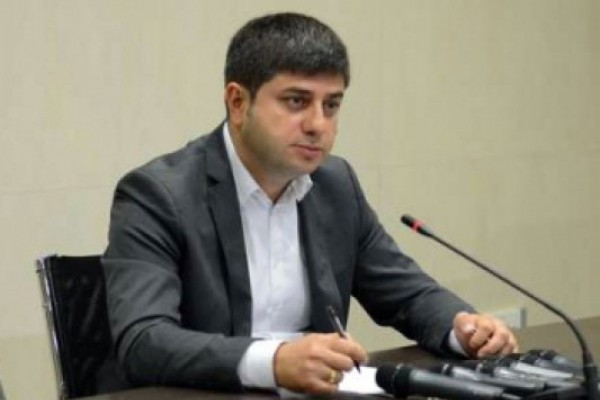 კონგრესმენის განცხადება, ბიძინა ივანიშვილის ქონების დაყადაღებაზე გამოხატვის თავისუფლების და იმპროვიზაციის სფეროს წარმოადგენს