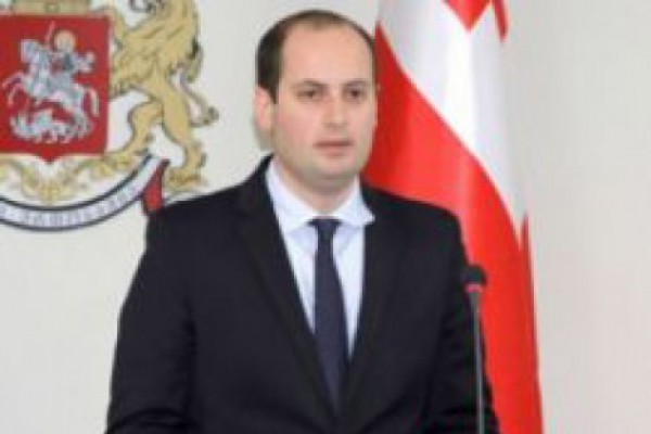 მიხეილ ჯანელიძე - ველოდებით, რომ ევროპარლამენტი საქართველოს ვიზალიბერალიზაციის საკითხს შემჭიდროვებულ ვადებში განიხილავს
