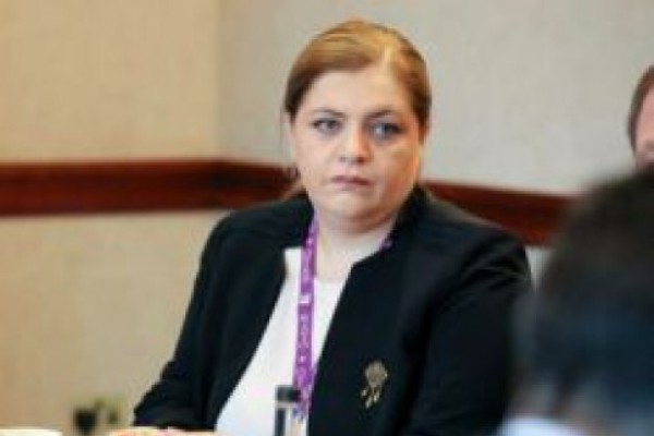 ირინა იმერლიშვილი - საკონსტიტუციო სასამართლოსთან დაკავშირებულ კანონზე პოლიტიკურ გადაწყვეტილებას პრეზიდენტი მიიღებს