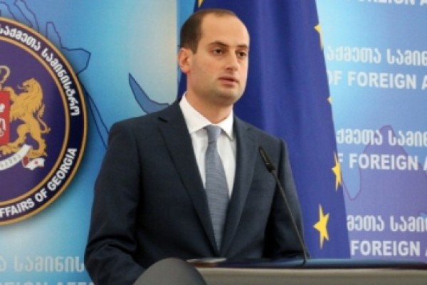 მიხეილ ჯანელიძე ვიზალიბერალიზაციის საკითხზე საქართველოში აკრედიტებულ ევროკავშირის წევრი ქვეყნების ელჩებს შეხვდა