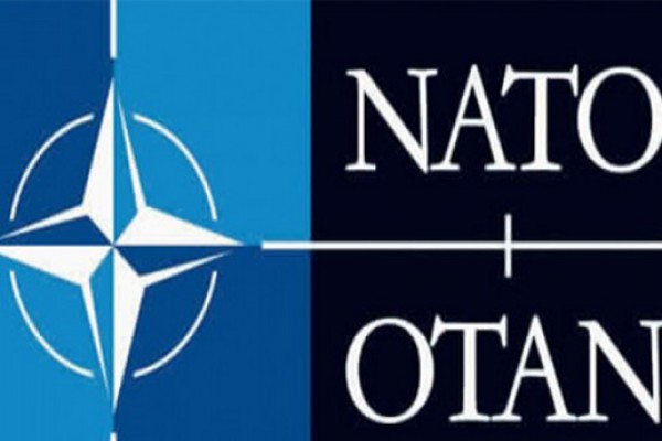 NATO თინათინ ხიდაშელის გადაწყვეტილებაზე პოზიციას აფიქსირებს