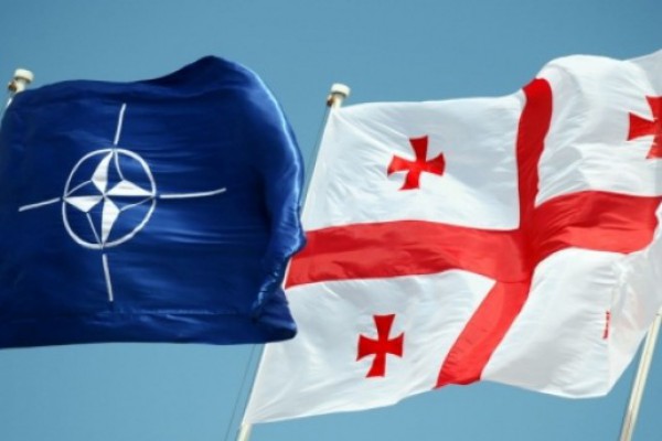 საქართველოს NATO-ში გაწევრიანებას გამოკითხულთა 64% უჭერს მხარს