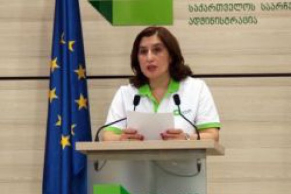 თამარ ჟვანია - „ცენტრისტებთან“ დაკავშირებით საჯარო რეესტრის გადაწყვეტილება ცესკოს დროულად უნდა მიწოდებოდა