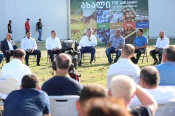 დამოუკიდებელი საქართველოს ისტორიაში არასოდეს ყოფილა ამდენი სხვადასხვაგვარი ინსტრუმენტი საქმიანი, ინიციატივიანი ადამიანის დასახმარებლად