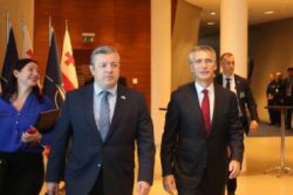 გიორგი კვირიკაშვილი - ალიანსის წევრებმა ერთხმად აღიარეს საქართველოს პროგრესი დემოკრატიზაციის, ეკონომიკური განვითარების, უსაფრთხოების მიმართულებით