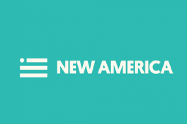 New America: საქართველოს დემოკრატია: კუნძული და არა შუქურა