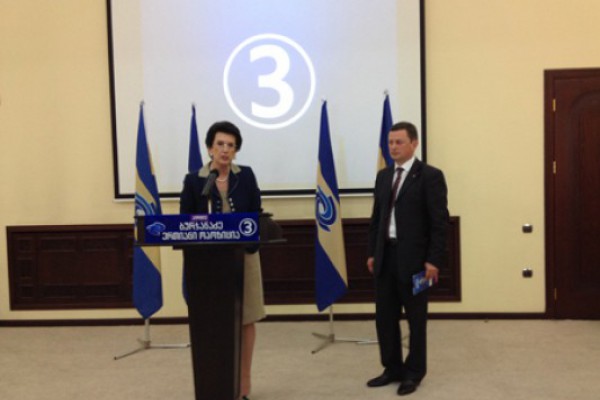 ნინო წილოსანი არასამთავრობო ორგანიზაციებს შეხვდა