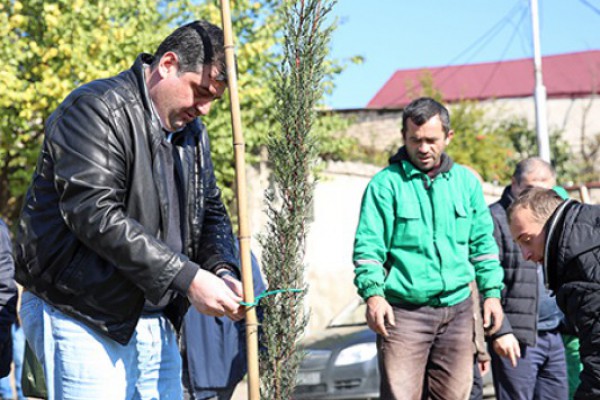 საშემოდგომო რგვების ფარგლებში ბუდაპეშტის ქუჩაზე გამწვანების აქცია გაიმართა