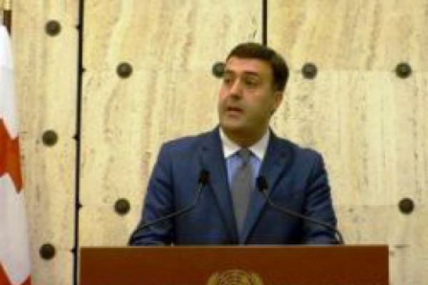 ჟენევაში საქართველოს მისიის ხელმძღვანელი გაერო-ს ადამიანის უფლებათა საბჭოს ვიცე-პრეზიდენტად აირჩიეს