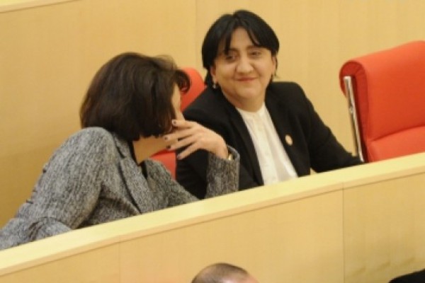 ,,პატრიოტთა ალიანსი“ საგადასახადო კოდექსში შესატან ცვლილებებს მხარს არ დაუჭერს