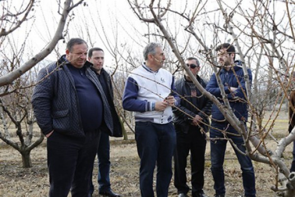პროგრამა დანერგე მომავალის ბენეფიციარებს ტრეინინგი ჩაუტარდათ