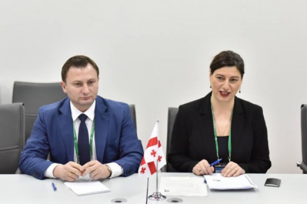 სოფიო ქაცარავა და ნიკოლოზ ნათენაძე იაპონიის ეროვნული პარლამენტის წარმომადგენლობითი პალატის დელეგაციას შეხვდა