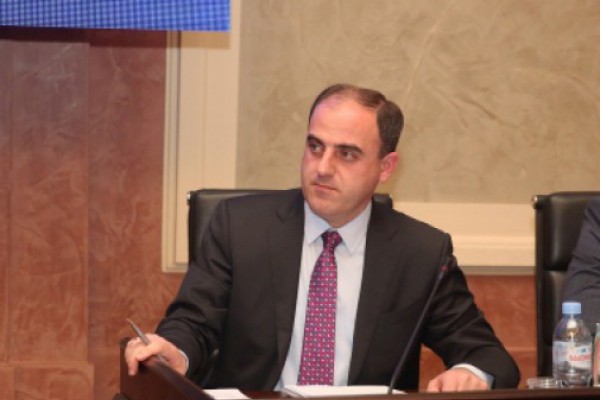 ჩვენ თითოეული ხმელი ხის მოჭრაზე გავცემთ ნებართვას და ვაკეთებთ სტატისტიკას