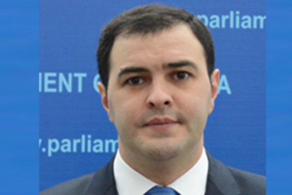 კომიტეტის თავმჯდომარის მოადგილისთვის ნათელი გახდა ვინ არიან
