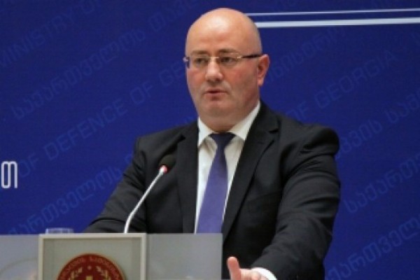ირმა ნადირაშვილის თანაპარტიელების ძმები და დები საქმიანობენ თავდაცვის უწყებაში, მაგრამ მე არც დანიშვნის და არც გათავისუფლების შემთხვევაში პარტიული ნიშნით არ ვხელმძღვანელობ