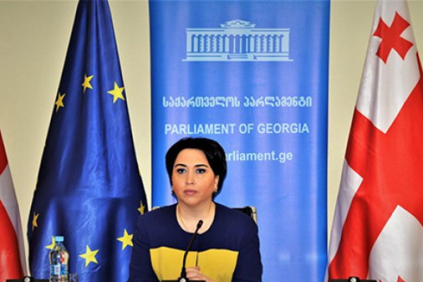 ეკა ბესელია კონსტიტუციური კანონის პროექტის საყოველთაო-სახალხო განხილვისას პრეზიდენტის მიერ გაკეთებულ განცხადებას გამოეხმაურა