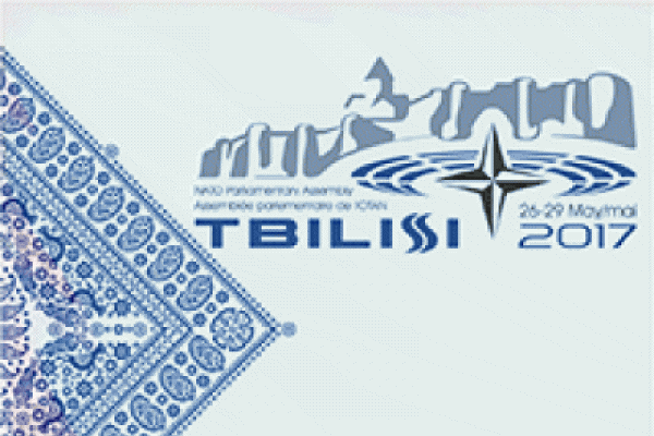 დამოუკიდებლობის აღდგენიდან 26 წლისთავზე საქართველო ნატოს საპარლამენტო ასამბლეას მასპინძლობს