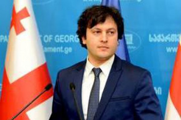 ნატოს საპარლამენტო ასამბლეის საგაზაფხულო სესიაზე საქართველოს მხარდამჭერი დეკლარაცია მიიღეს