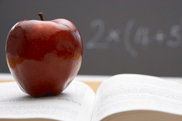 სექტემბრიდან სკოლაში ბავშვებს თითო ვაშლს დავურიგებთ
