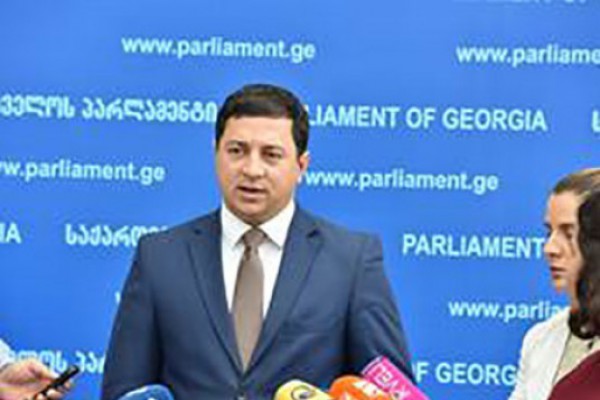 პრეზიდენტს აქვს კარგი შესაძლებლობა, კონსტრუქციული როლი ითამაშოს პარლამენტის მხრიდან ვენეციის კომისიასთან აღებული პირობის სწრაფად განხორციელებაში