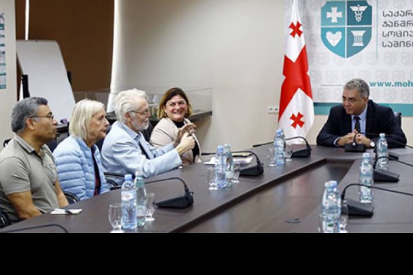 ჯანდაცვის მინისტრი შვედ ექიმებს შეხვდა